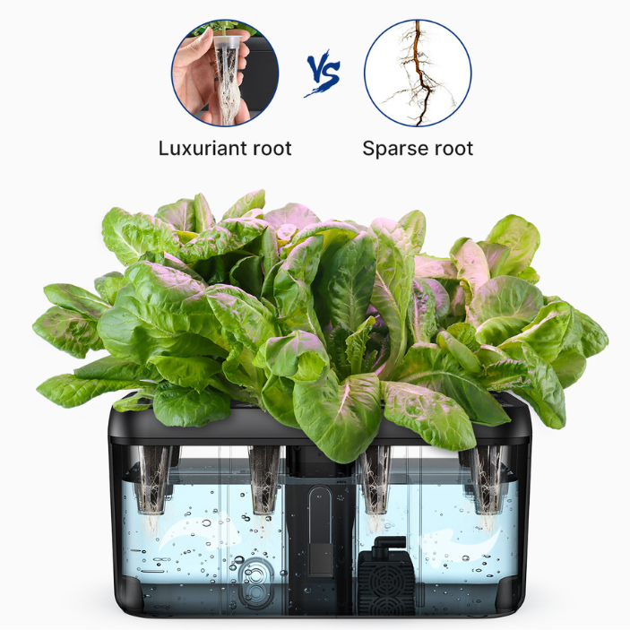 Ultimate Home Garden Starter Kit: Grow Your Own Fresh Herbs and Vegetables!