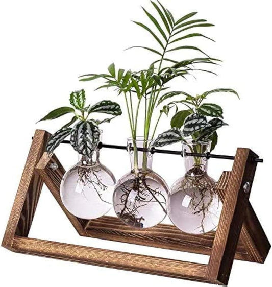 Charming Plant Terrarium Propagation Station - Set of 3 Vintage Glass Bulb Vases with Rustic Wooden Stand for Stylish Indoor Hydroponic Gardening and Unique Home Office Decor, Perfect Gift for Plant Lovers