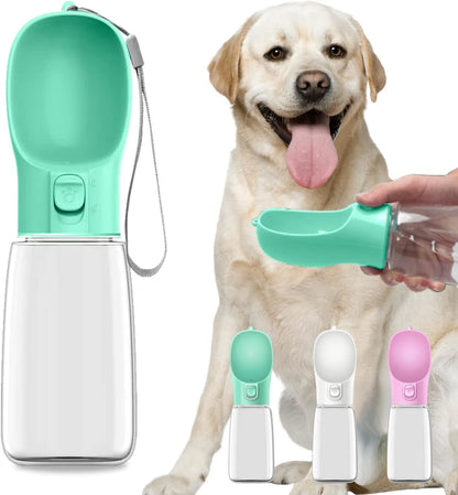 Green 350ml leakproof dog water bottle held in hand outdoors